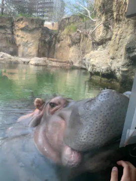 天王寺動物園に投稿された画像（2021/4/2）