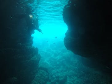 武藤潜水に投稿された画像（2021/4/2）