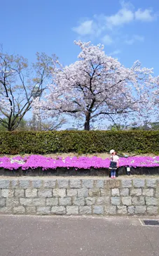 天王寺動物園に投稿された画像（2021/4/2）