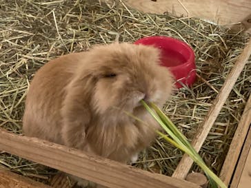 伊豆シャボテン動物公園に投稿された画像（2021/4/2）