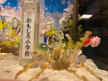 ヨコハマおもしろ水族館に投稿された画像（2021/4/2）