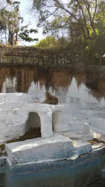 天王寺動物園に投稿された画像（2021/4/2）