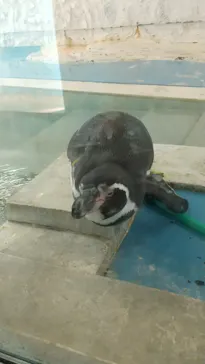 天王寺動物園に投稿された画像（2021/4/2）