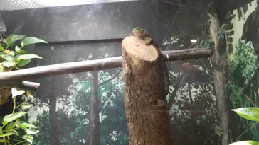 天王寺動物園に投稿された画像（2021/4/2）