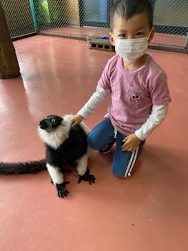 那須ワールドモンキーパークに投稿された画像（2021/4/2）