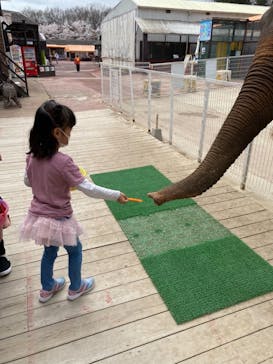 那須ワールドモンキーパークに投稿された画像（2021/4/2）