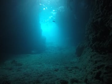 武藤潜水に投稿された画像（2021/4/2）