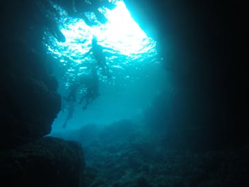 武藤潜水に投稿された画像（2021/4/2）