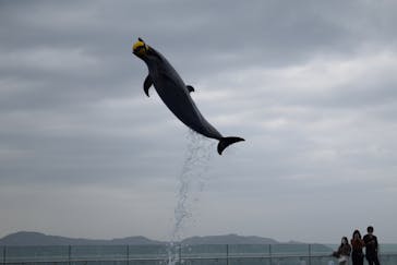 四国水族館に投稿された画像（2021/4/2）