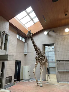 天王寺動物園に投稿された画像（2021/4/2）