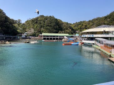 下田海中水族館に投稿された画像（2021/4/2）