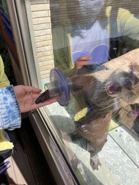 下田海中水族館に投稿された画像（2021/4/2）