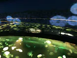 すみだ水族館に投稿された画像（2021/4/2）