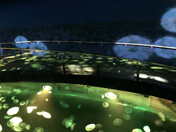 すみだ水族館に投稿された画像（2021/4/2）