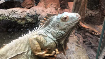 天王寺動物園に投稿された画像（2021/4/2）