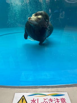 サンシャイン水族館に投稿された画像（2021/4/2）