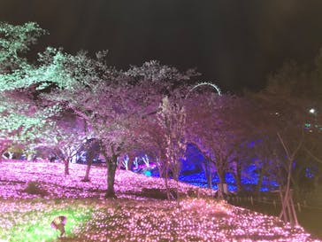 さがみ湖MORI MORIに投稿された画像（2021/4/2）