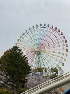 ひらかたパークに投稿された画像（2021/4/2）