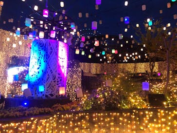 ひらかたパークに投稿された画像（2021/4/2）