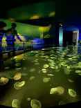 すみだ水族館に投稿された画像（2021/4/2）