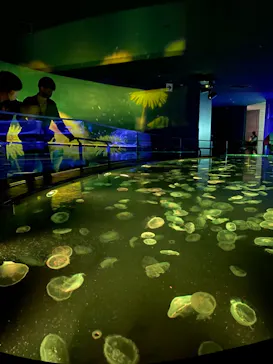 すみだ水族館に投稿された画像（2021/4/2）