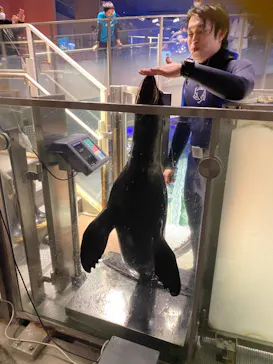 すみだ水族館に投稿された画像（2021/4/2）