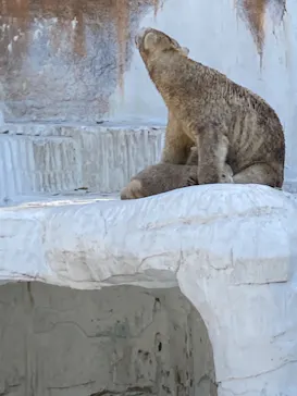 天王寺動物園に投稿された画像（2021/4/2）
