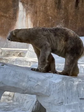 天王寺動物園に投稿された画像（2021/4/2）