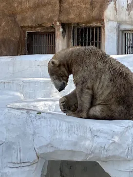 天王寺動物園に投稿された画像（2021/4/2）