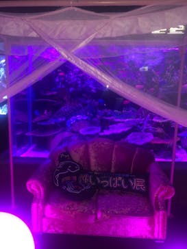 サンシャイン水族館に投稿された画像（2021/4/2）