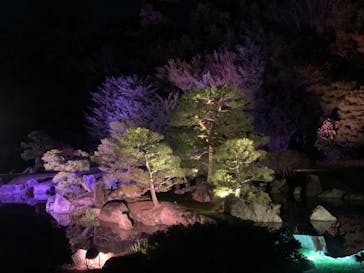 二条城×ネイキッド 二条城夏まつり2021に投稿された画像（2021/4/2）