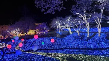 さがみ湖MORI MORIに投稿された画像（2021/4/2）