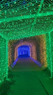 さがみ湖MORI MORIに投稿された画像（2021/4/2）