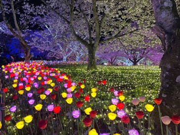 さがみ湖MORI MORIに投稿された画像（2021/4/2）