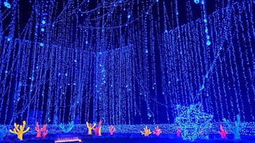 さがみ湖MORI MORIに投稿された画像（2021/4/2）