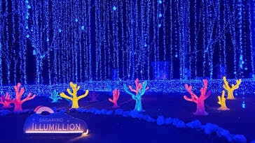 さがみ湖MORI MORIに投稿された画像（2021/4/2）