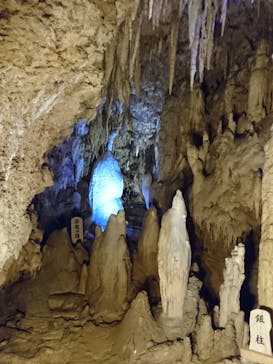 おきなわワールドに投稿された画像（2021/4/2）