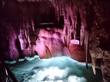 おきなわワールドに投稿された画像（2021/4/2）