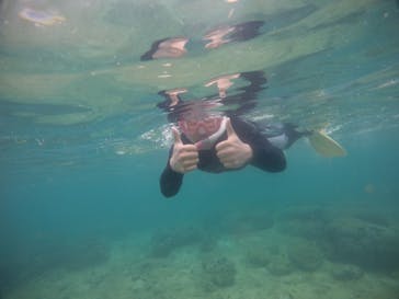 武藤潜水に投稿された画像（2021/4/3）