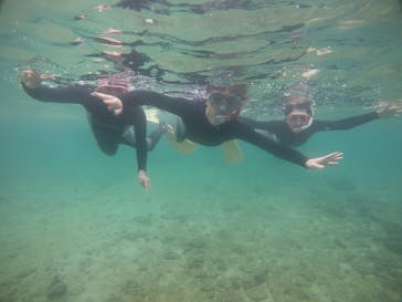 武藤潜水に投稿された画像（2021/4/3）