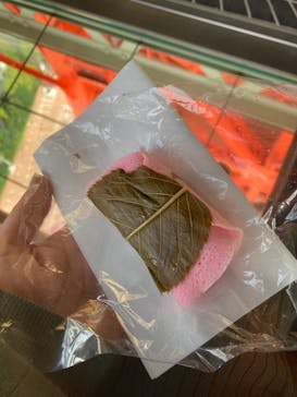 東京タワーに投稿された画像（2021/4/3）