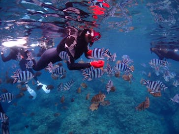 沖縄ダイビングショップシーモールに投稿された画像（2021/4/3）