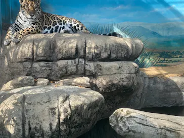 天王寺動物園に投稿された画像（2021/4/3）