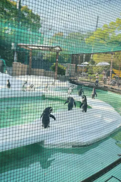 天王寺動物園に投稿された画像（2021/4/3）