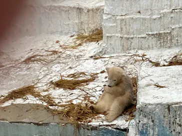 天王寺動物園に投稿された画像（2021/4/3）