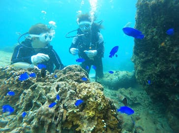 青の洞窟専門店　沖縄ダイビングショップ和に投稿された画像（2021/4/3）