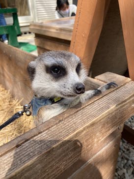 しろとり動物園に投稿された画像（2021/4/3）