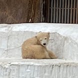 天王寺動物園に投稿された画像（2021/4/3）