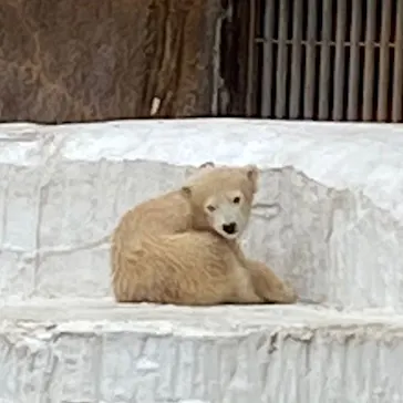 天王寺動物園に投稿された画像（2021/4/3）