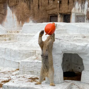 天王寺動物園に投稿された画像（2021/4/3）